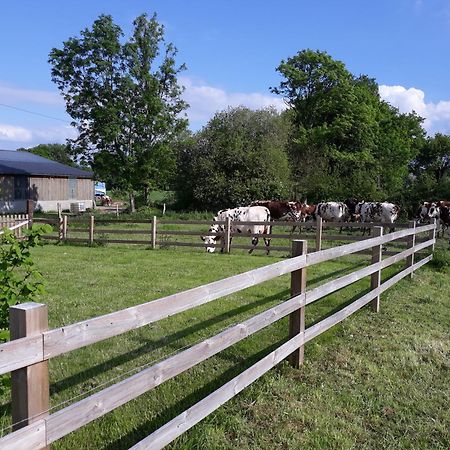 Roulotte A La Ferme Buissonniere Villa La Lande-de-Louge Exteriör bild