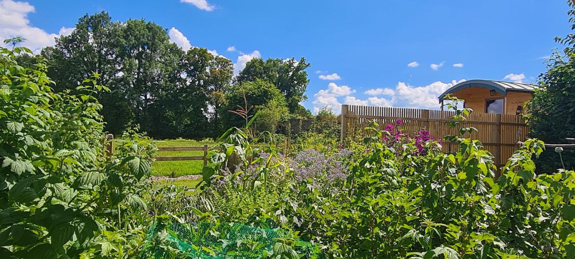 Roulotte A La Ferme Buissonniere Villa La Lande-de-Louge Exteriör bild