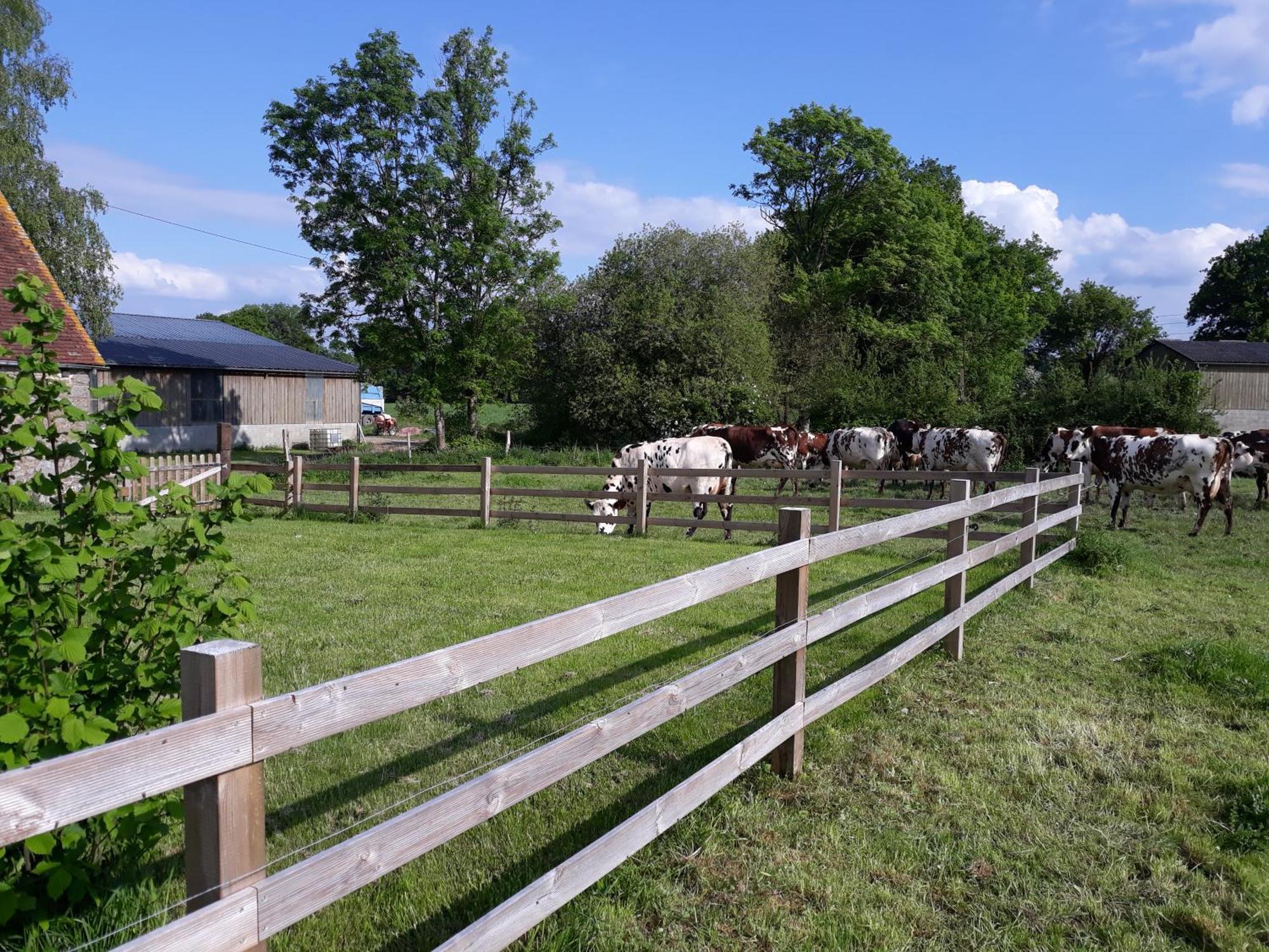 Roulotte A La Ferme Buissonniere Villa La Lande-de-Louge Exteriör bild